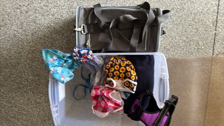 Small dog misc items