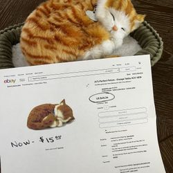 Perfect Petzz - Orange Tabby