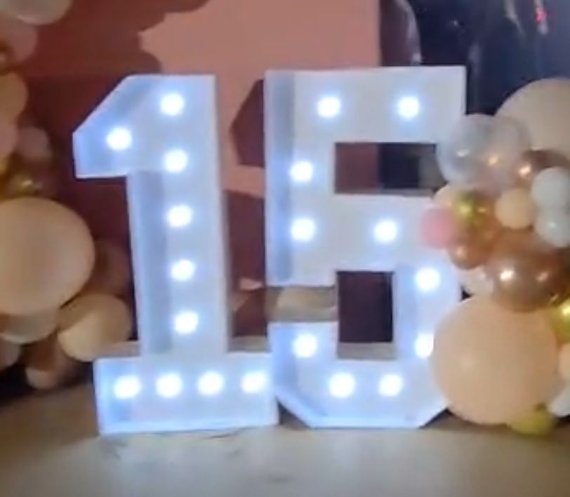 XV Dusty Rose Backdrop Numbers