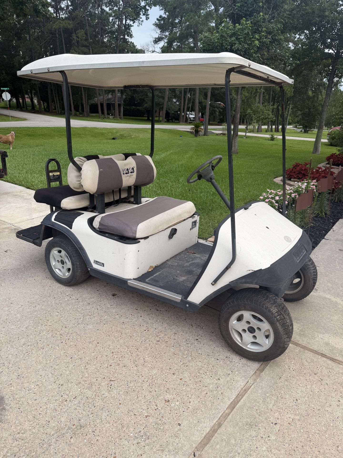 Gas Golf Cart