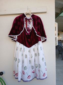 Disney dress shop Haunted Mansion dress 3X