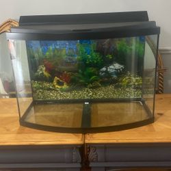 50 Gallons Fish Tank