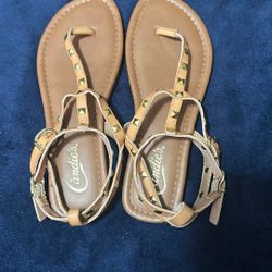 Sandals Shoe