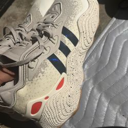 Adidas Shoes 