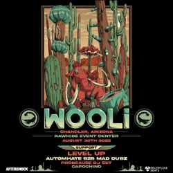 1 Ticket For Wooli 8/30/25