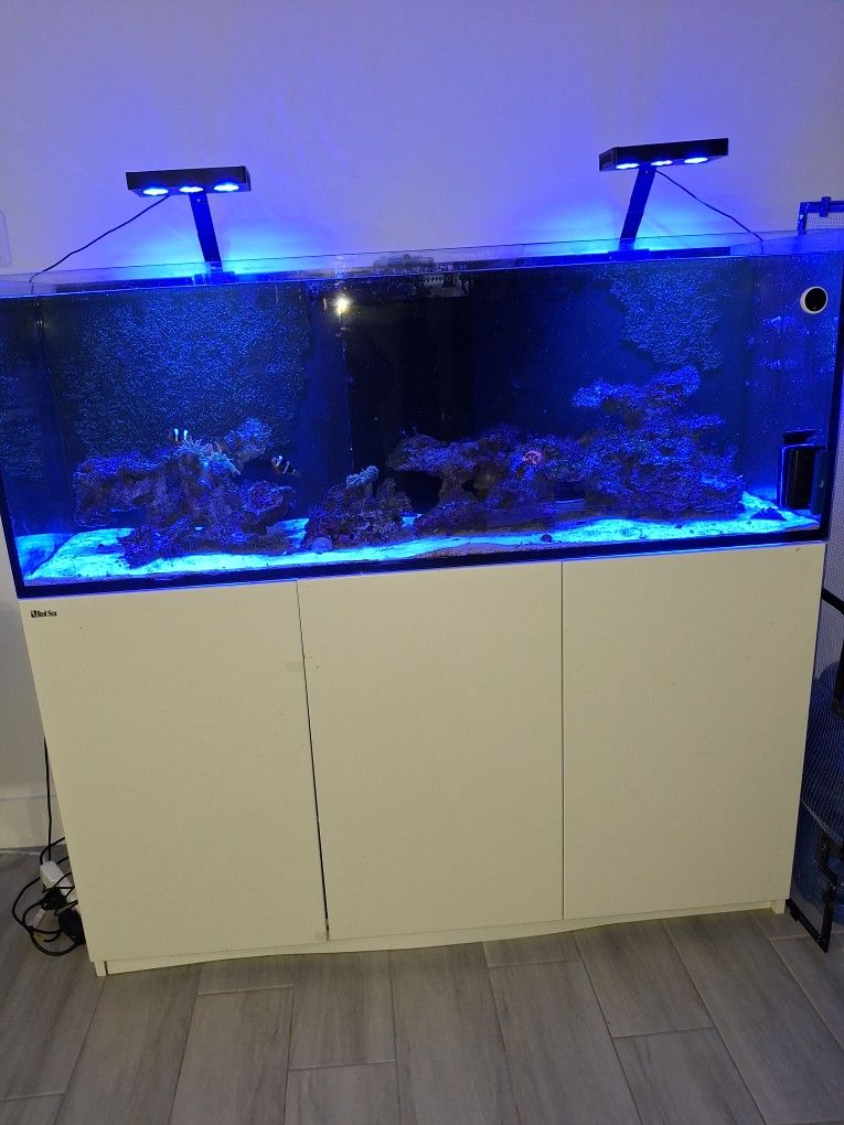 Pesera Con Fish Se Vende Agua Salada