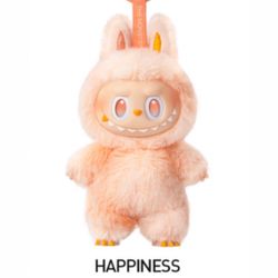Authentic Happiness BIE