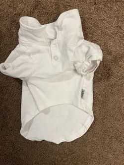 Dog White Polo Shirt