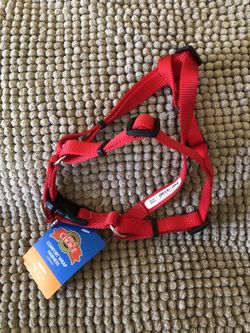 New dog harness medium