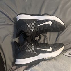 Nike Lebron Basketball Shoe