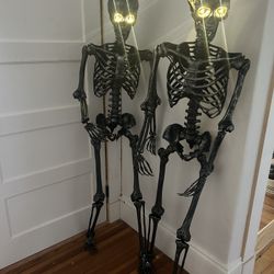 2 Life-sized Skeletons 