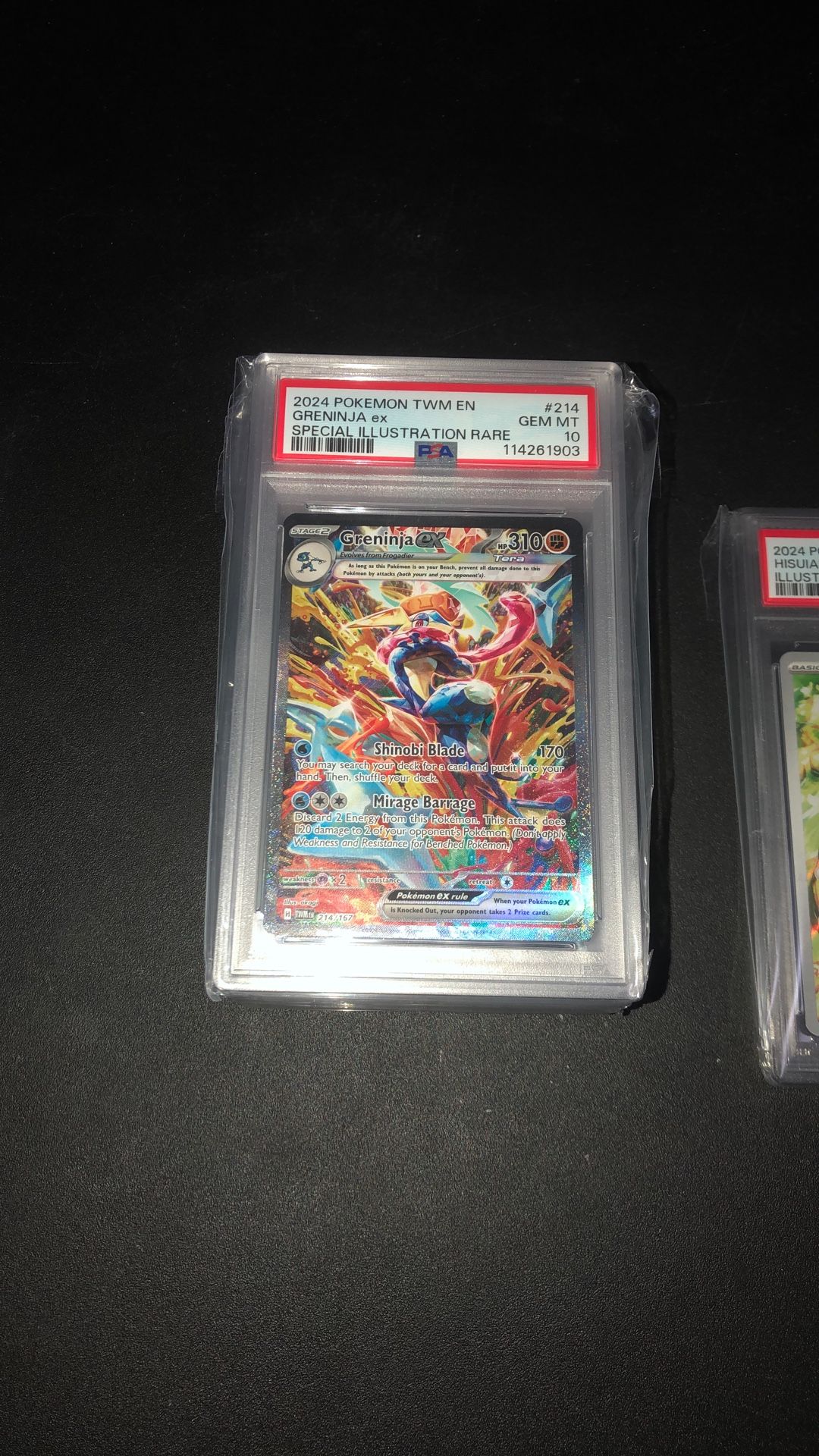 Pokémon Slabs