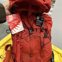 Osprey Hiking Backpack 
