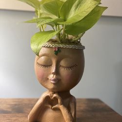 Potted head Plant