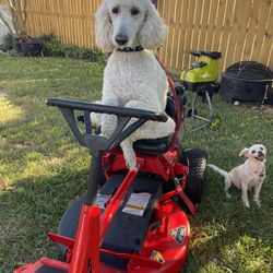 SNAPPER RIDING MOWER 28”