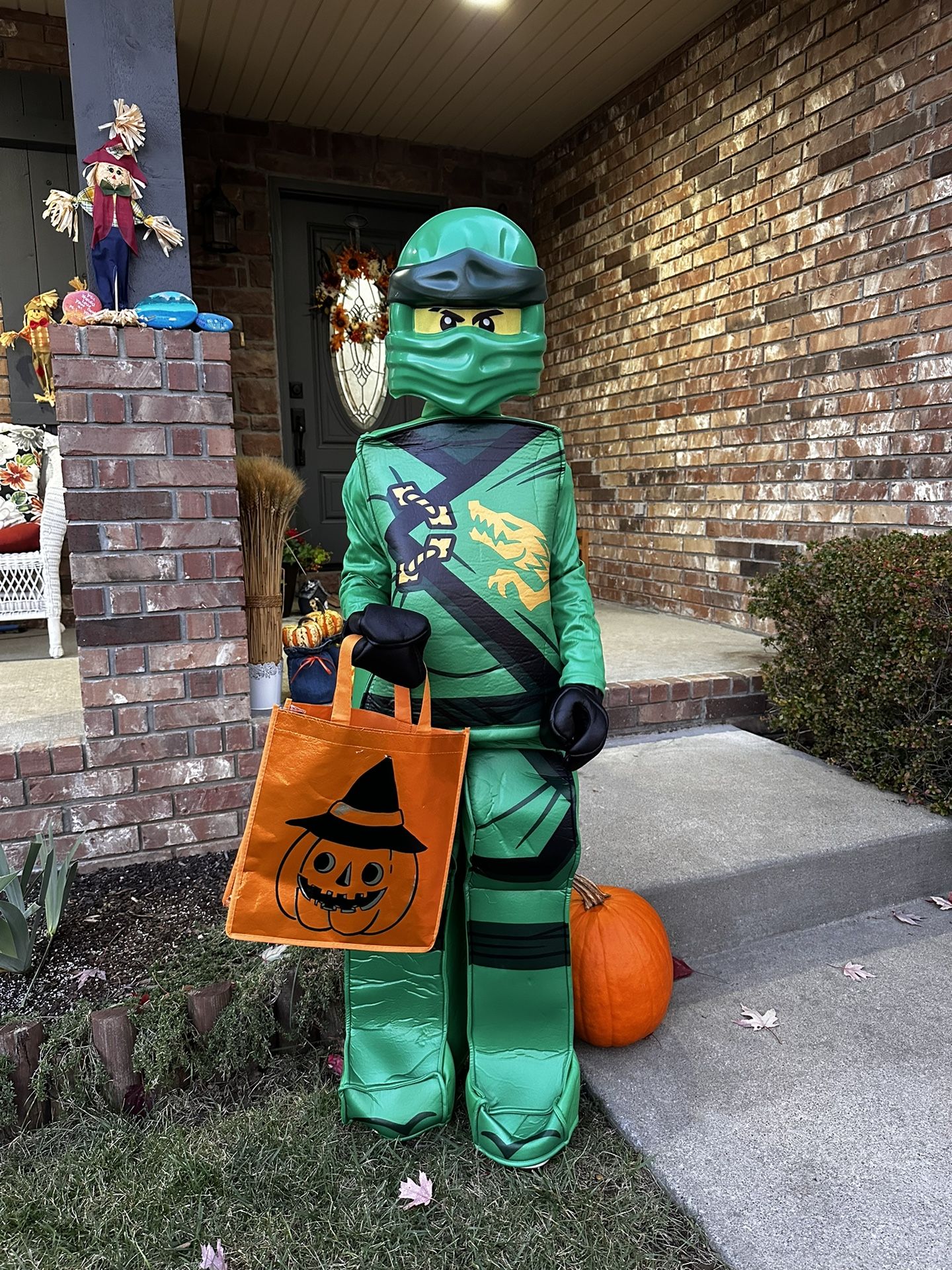 Costume Lego Ninja 