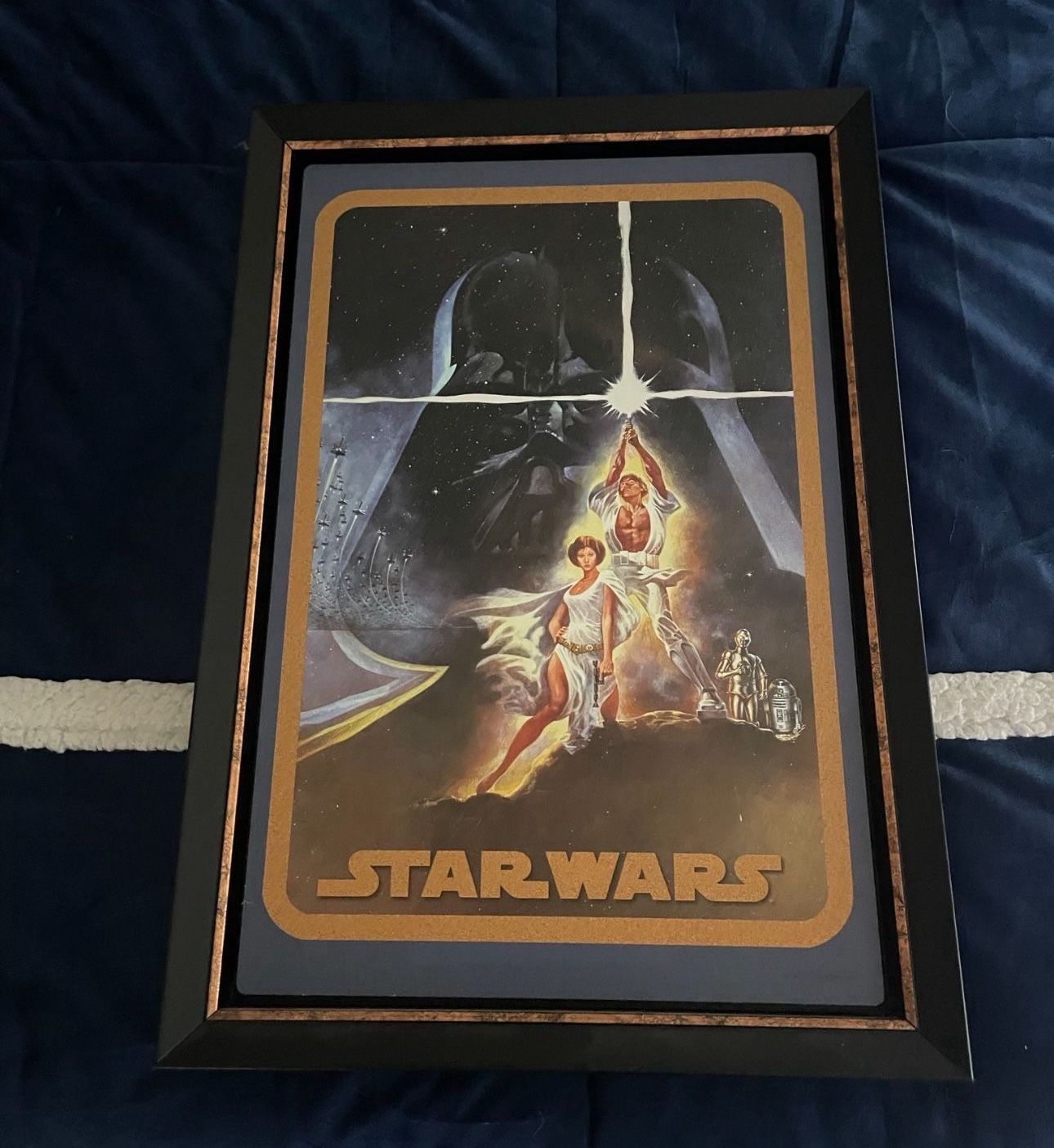 Star Wars New Hope Disney Wall Art