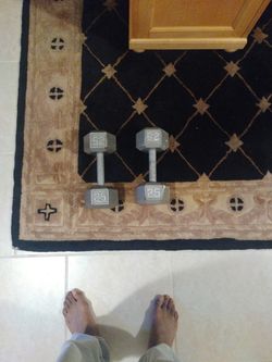 25lbs Dumbbells $50