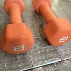 8lbs Gym Weight Weights Muscle