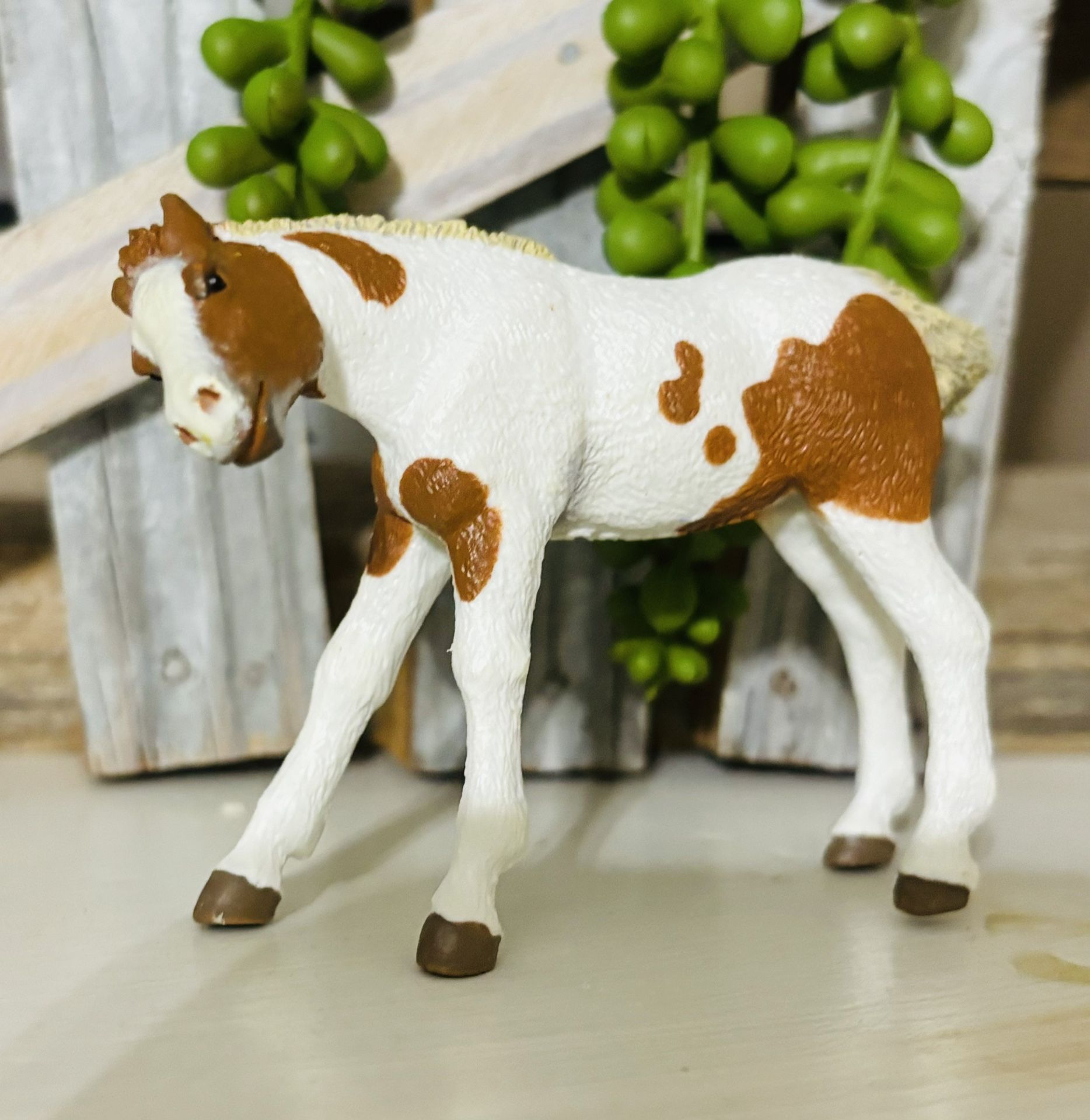 RETIRED Rare Nursing Foal