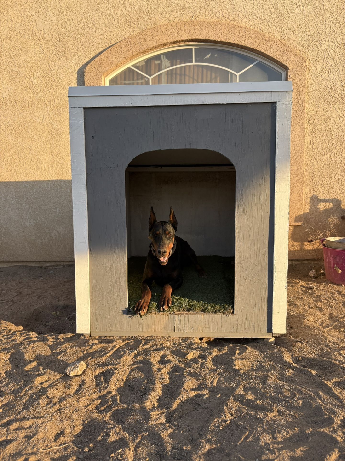 Dog House