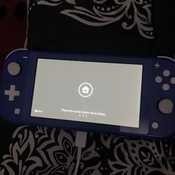 Nintendo Switch Lite 