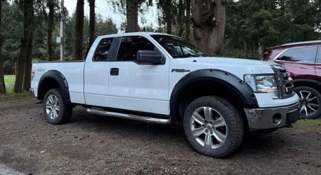 2010 Ford F-150