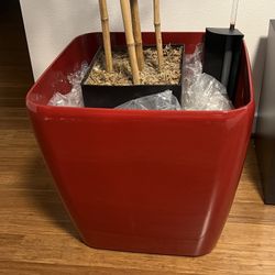 Planter And Pots 