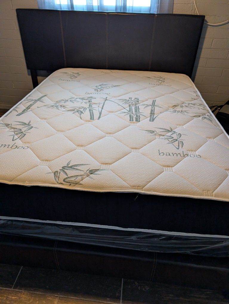 Queen Size Mattress And Box Spring
