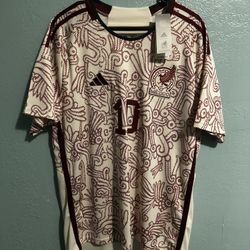 Vega Mexico, Soccer Jersey World Cup 2022