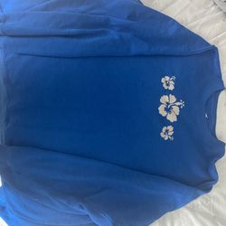 Hollister Blue Sweatshirt 