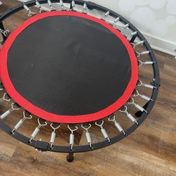 Trampoline- EVERYTHING MUST GO -move Aug 1st