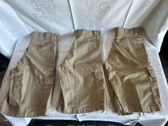 Dickies Flex Cargo Shorts 30” (Set of 3)