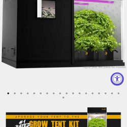 Grow Equipment (Tent & Lights)