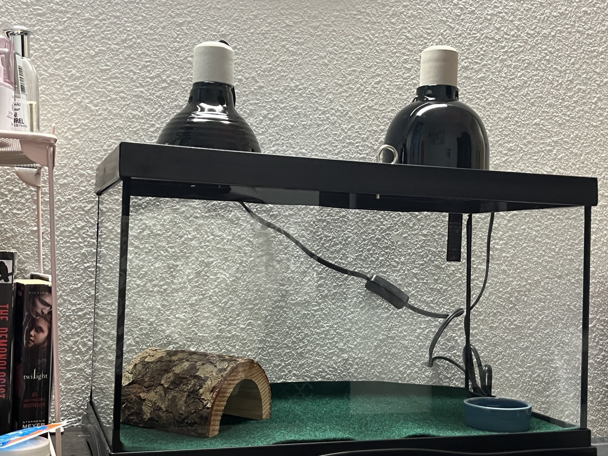 10 Gallon Tank