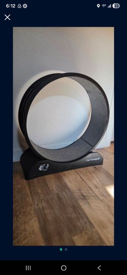 Indoor Cat Wheel - Cat Toy