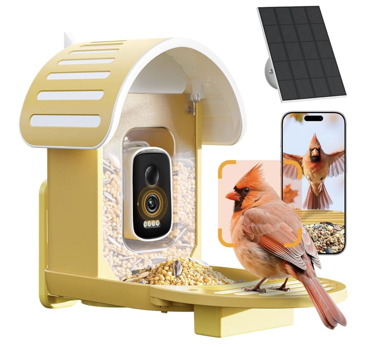 new In Box,smart Feeder