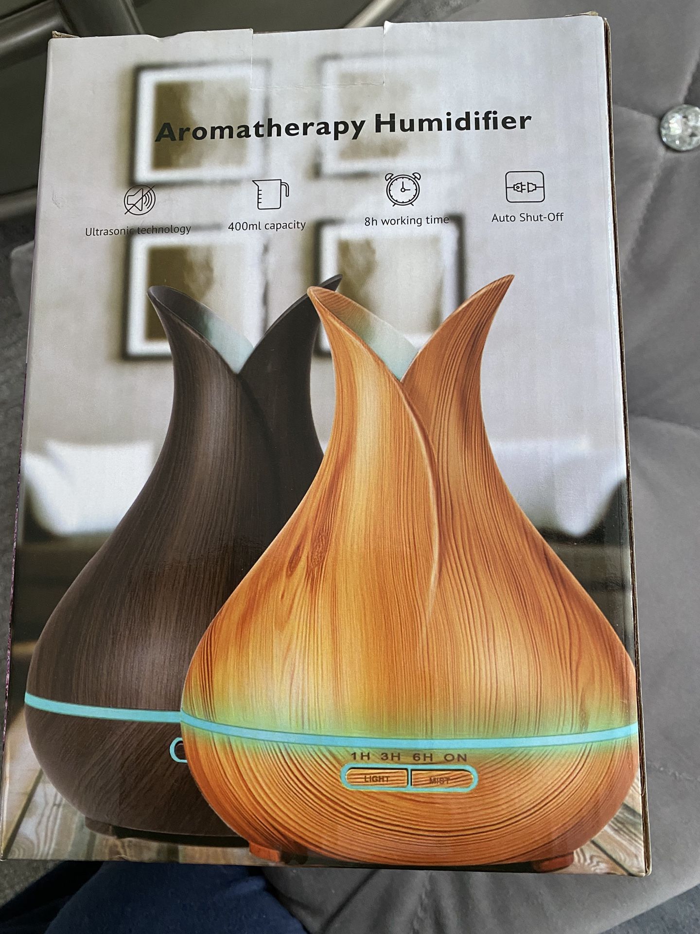 Aromatherapy Humidifier