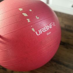 65cm Red Yoga Exercise Ball 