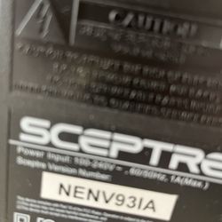 Scepter 12 In Color Flat Screen 