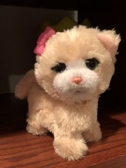 Fur real friends cat never played w