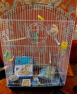 Pet bundle