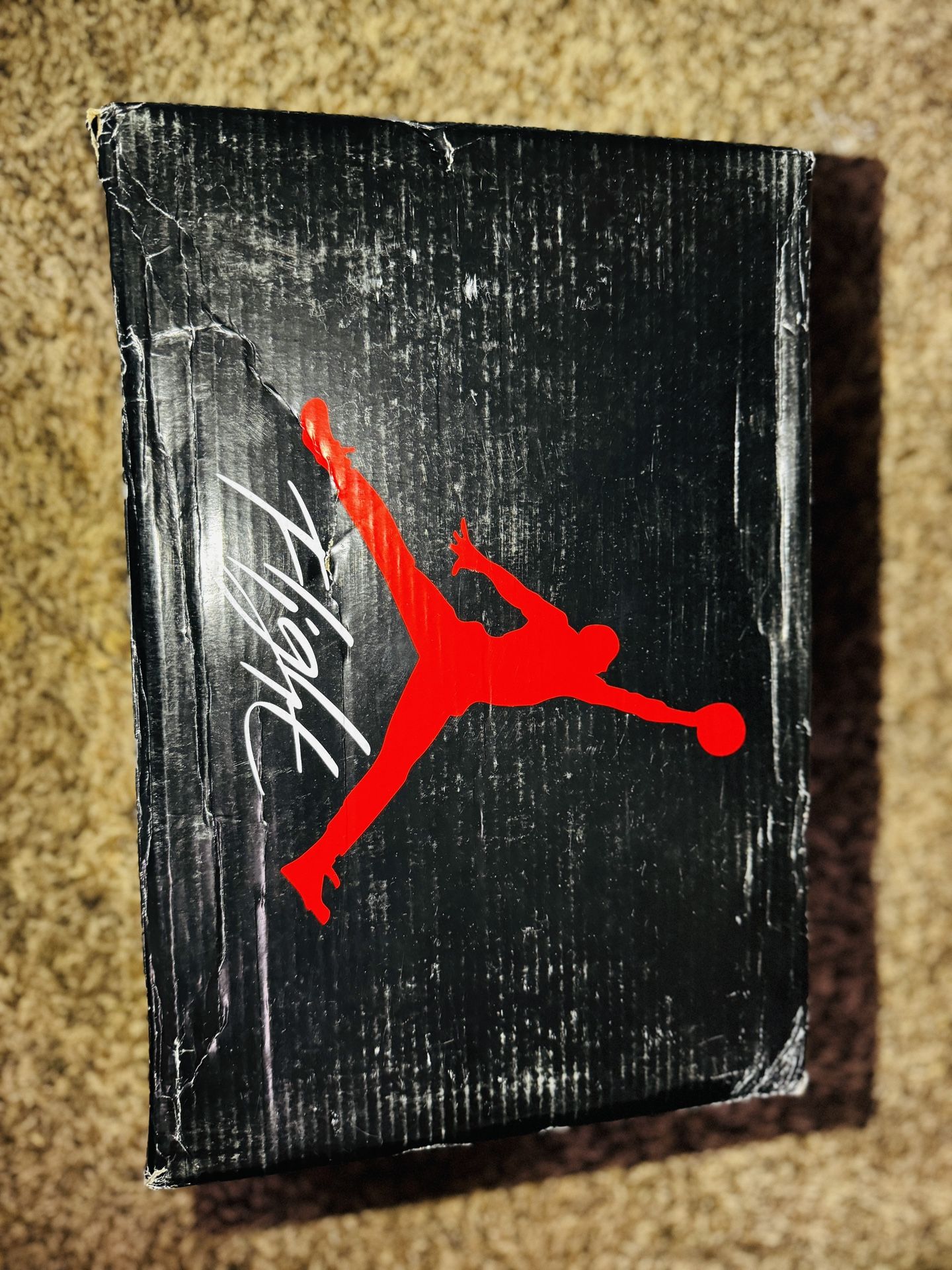 AIR JORDAN 4