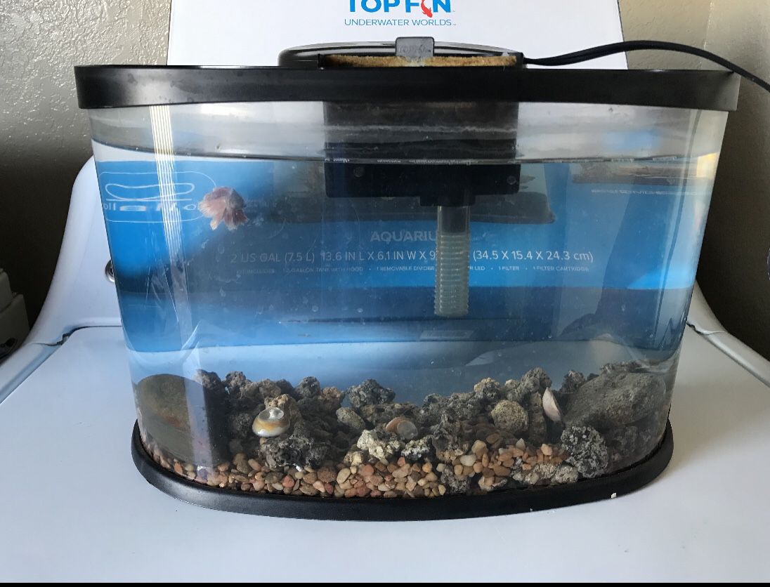 2 gallon fish tank (fish not included)