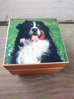Jobin Swiss Music Box Cocker Spaniel Dog Great Condition