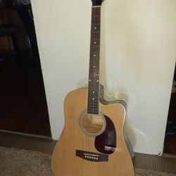 Spectrum Acoustic guitar 