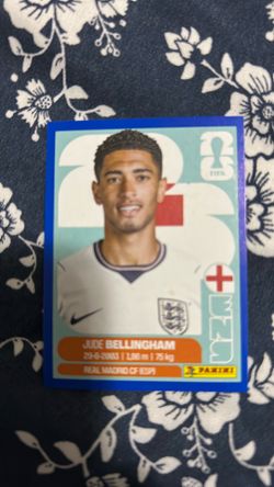 ENG 11 Panini