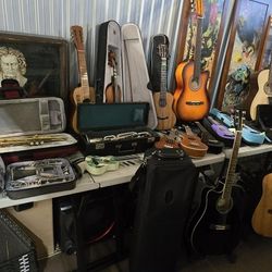 MUSICAL INSTRUMENTS AVAILABLE $69 