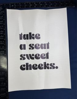 Take A Seat Sweet Cheeks Canvas Bathroom Wall Art Print 11x16