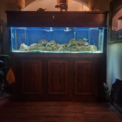 Salt Water Fish Tank  Stand And Canopy